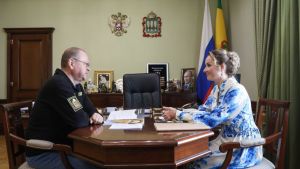 Львова-Белова и Мельниченко обсудили поддержку семей и реабилитацию бойцов