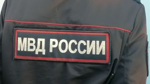 Безопасность пензенцев в дни голосования обеспечивают более 3 700 полицейских