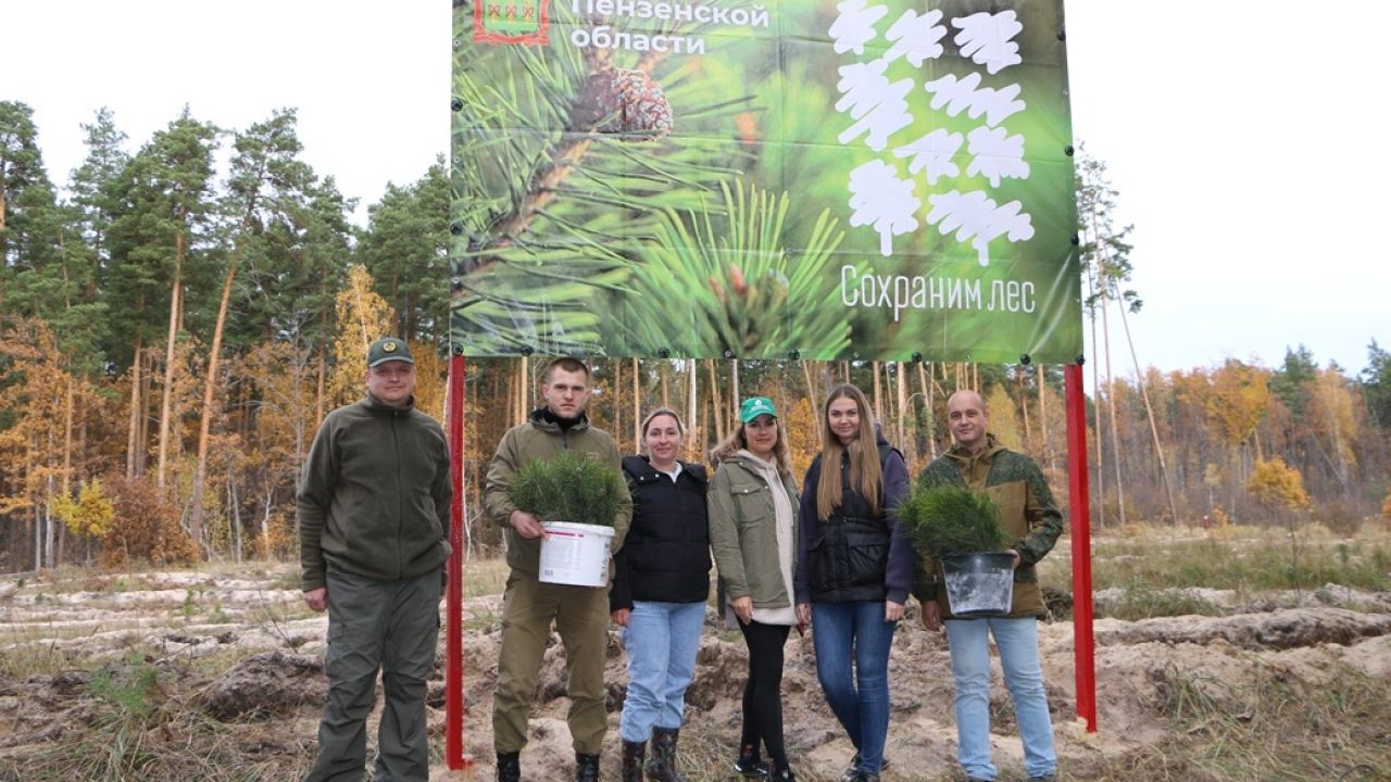 В Пензенской области осенью высадят более 50 тысяч деревьев