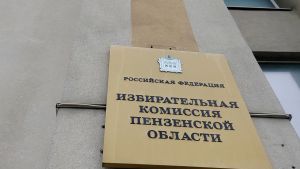 Явка на выборах в Пензенской области достигла 40,17%