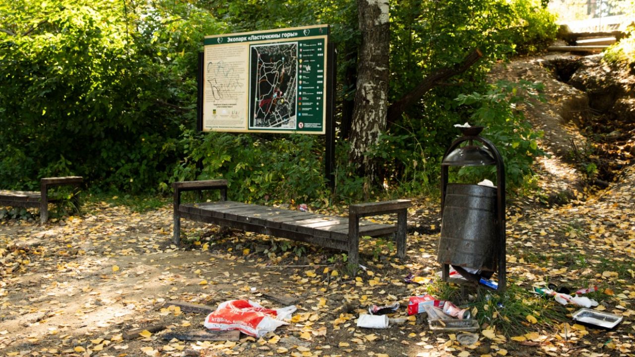В Пензе в эко-парке «Ласточкины горы» провели субботник