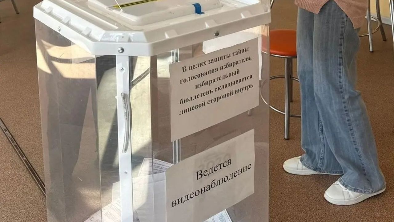 Каденков и Руденский лидируют на выборах в Госдуму от Пензенской области