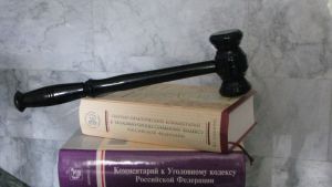 Житель Бековского района получил условный срок за мошенничество с соцконтрактом