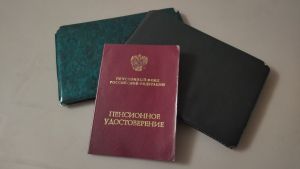 Жителям Пензенской области рассказали о льготах для работающих пенсионеров