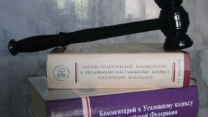 В Каменке 41-летнего мужчину обвинили в нападении на полицейского