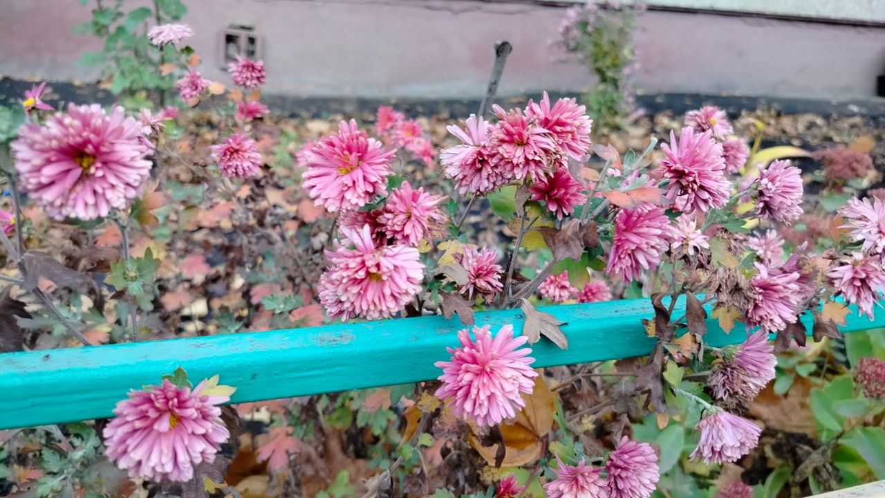 23 сентября в Пензенской области потеплеет до +26 градусов