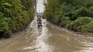 В Пензе пожаловались на дорогу до детского сада, по которой «невозможно ходить»
