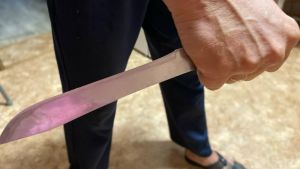 В Пензенской области за 8 месяцев 2026 года увеличилось число убийств