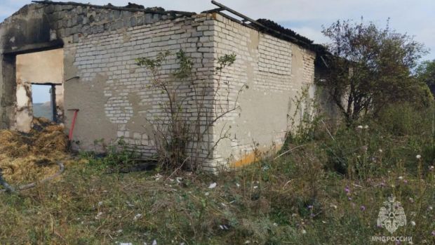 В Тамалинском районе при пожаре погибли два человека