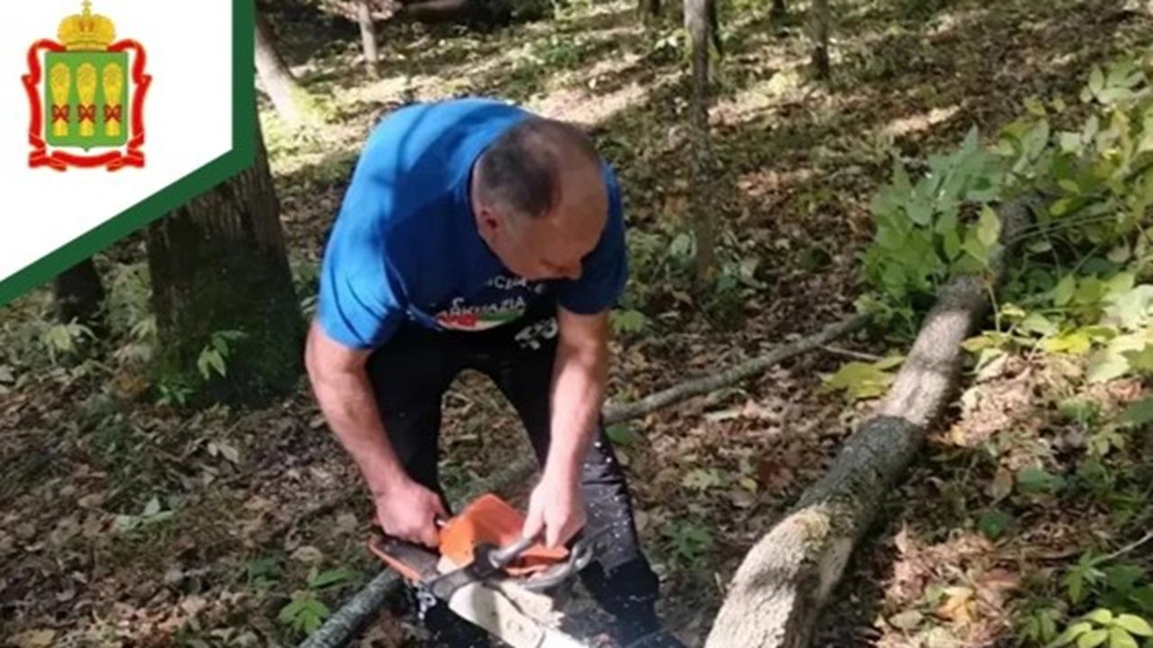 В Белинском районе продолжаются работы по восстановлению дендрария