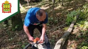 В Белинском районе продолжаются работы по восстановлению дендрария