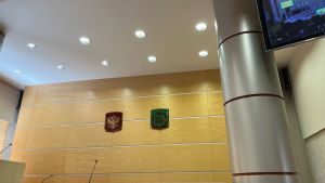 Правительство Пензенской области сложило полномочия по распоряжению Мельниченко