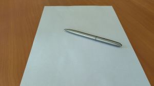 В Пензе изменился механизм муниципального земельного контроля