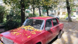 В Пензенской области 27 сентября будет пасмурно