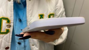 На «Госуслугах» заработал новый сервис защиты от мошенников для пензенцев