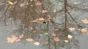 Пензенское МЧС предупредило водителей и рыбаков об опасностях в октябре