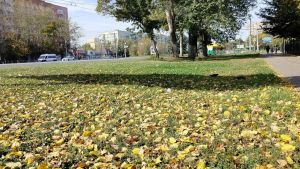 В Пензенской области до конца сентября сохранится теплая погода