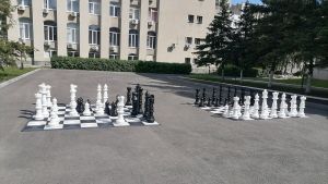 В Пензе проект «Шахматы в скверах» охватил более 500 человек