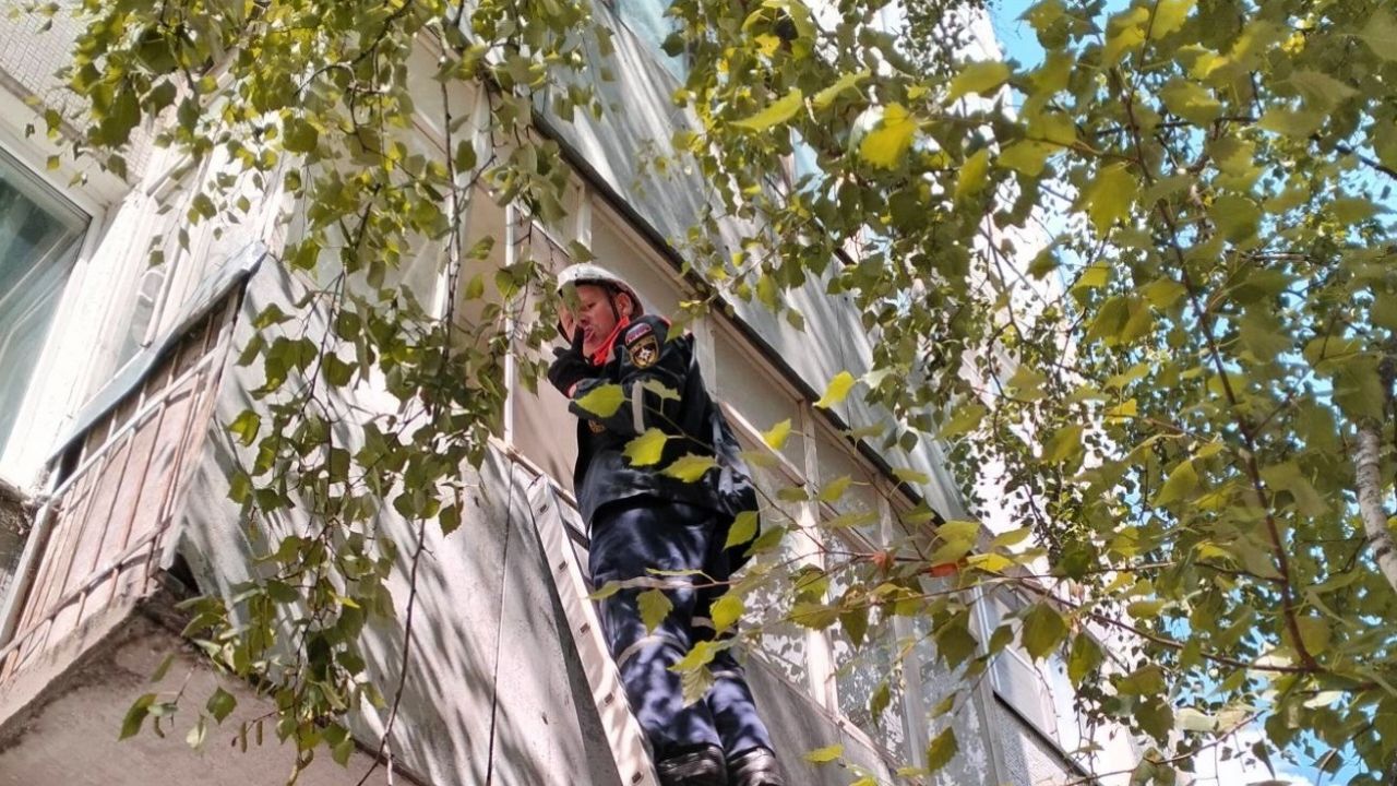 В Пензе спасатели через балкон проникли в квартиру к пожилой женщине