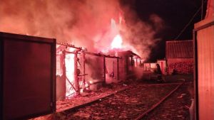 Спасатели опубликовали фото с места пожара в пензенском селе