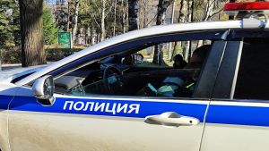 Пензячка отдала мошенникам 3,4 млн рублей после звонка из «силового ведомства»