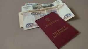 Пенсионерам из Пензы планируют сделать ежегодную доплату к страховой пенсии