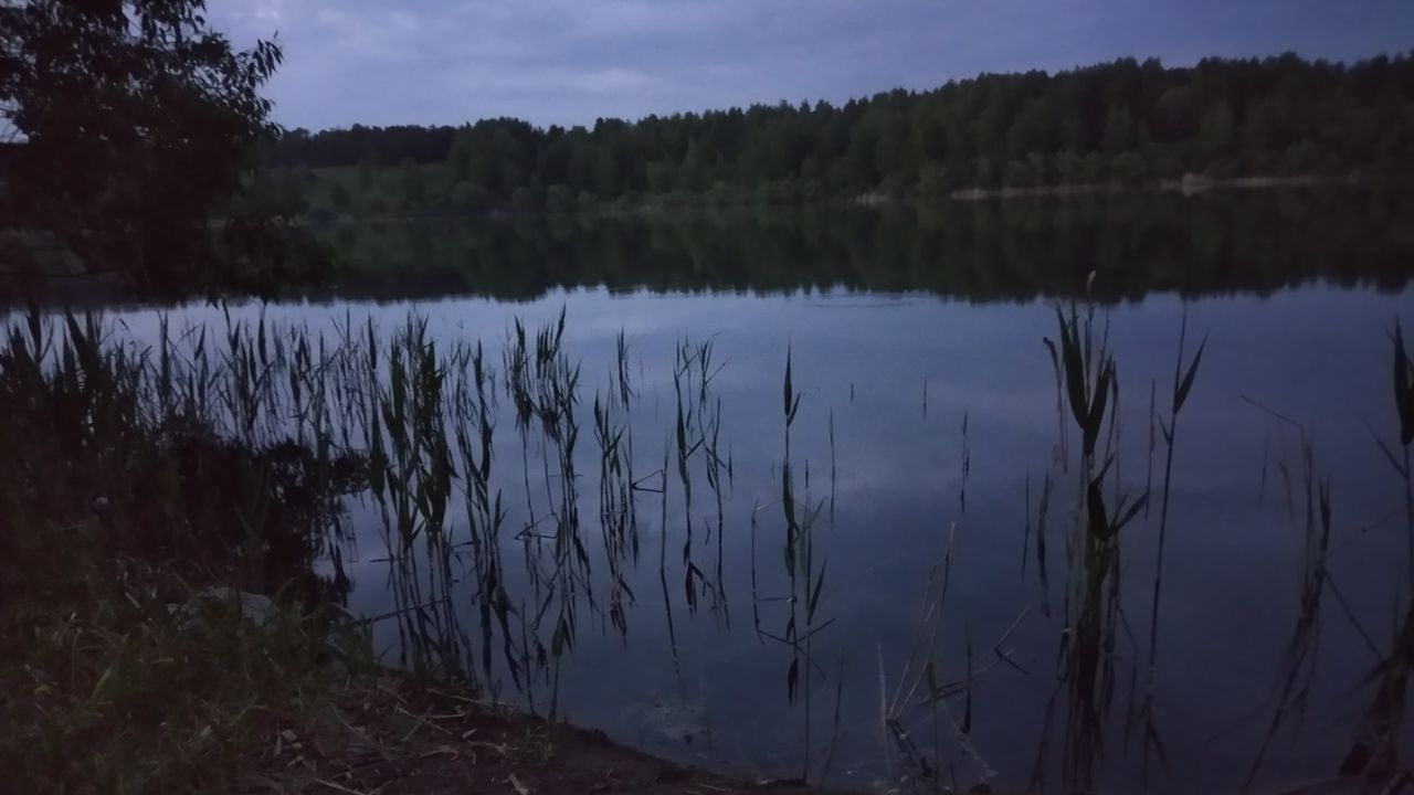 Двух жителей Засечного наказали за попытку украсть рыбу из пруда