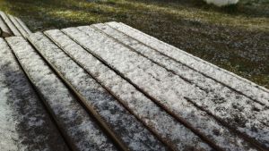 3 октября в Пензенской области синоптики прогнозируют снег с дождем и -3 градуса