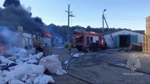 Масштабный пожар в районе села Богословка, победа «Локомотив-Пенза» и развитие кинокластера — новости Пензы и области за 4 октября