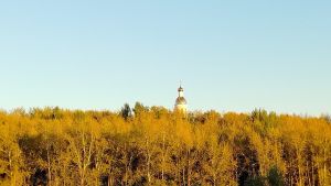 В Пензенскую область в ближайшие 3 дня придет позднее «бабье лето»