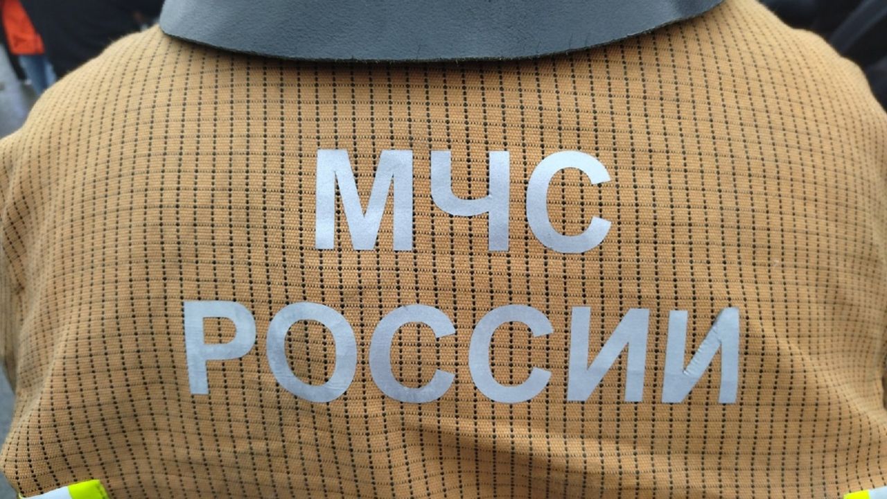 В Пензенской области за сутки потушили восемь пожаров