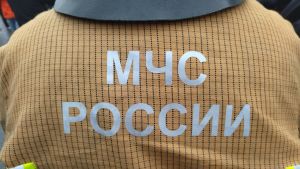 В Пензенской области за сутки потушили восемь пожаров