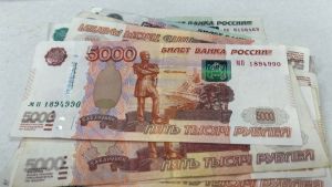 В Пензенской области продлили выплаты молодым ветеринарам до 2028 года