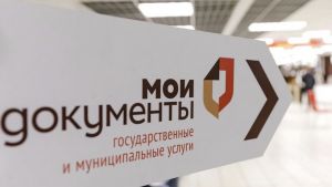 С начала года пензенские МФЦ оказали гражданам более 1,1 млн услуг