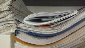 В Мокшанском районе утвердили границы территории памятника Загоскину