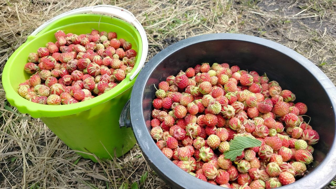 Пензенский евролог назвал продукты, которые помогают укрепить нервную систему