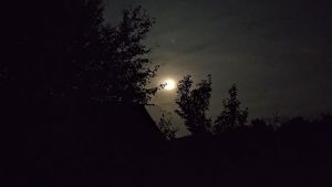 В Пензенской области 12 октября приготовились к отражению атаки БПЛА