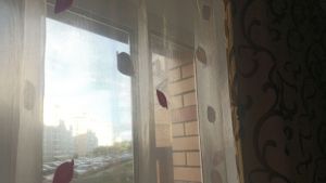 Окна будут сиять месяцами: простые хитрости против разводов, пыли и запотевания