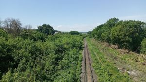 Пензенская транспортная полиция выявила более 2,2 тысячи нарушений за 9 месяцев