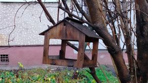 Пензенцев пригласили сделать кормушки для птиц