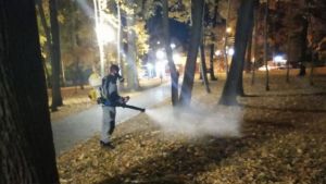 В Пензе Олимпийскую аллею и Учительский сквер обработали от клещей