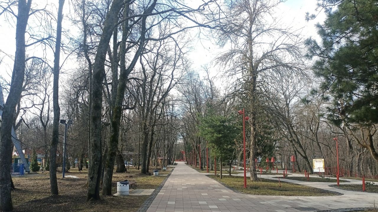 Многодетные семьи в Пензе смогут бесплатно кататься на аттракционах раз в месяц