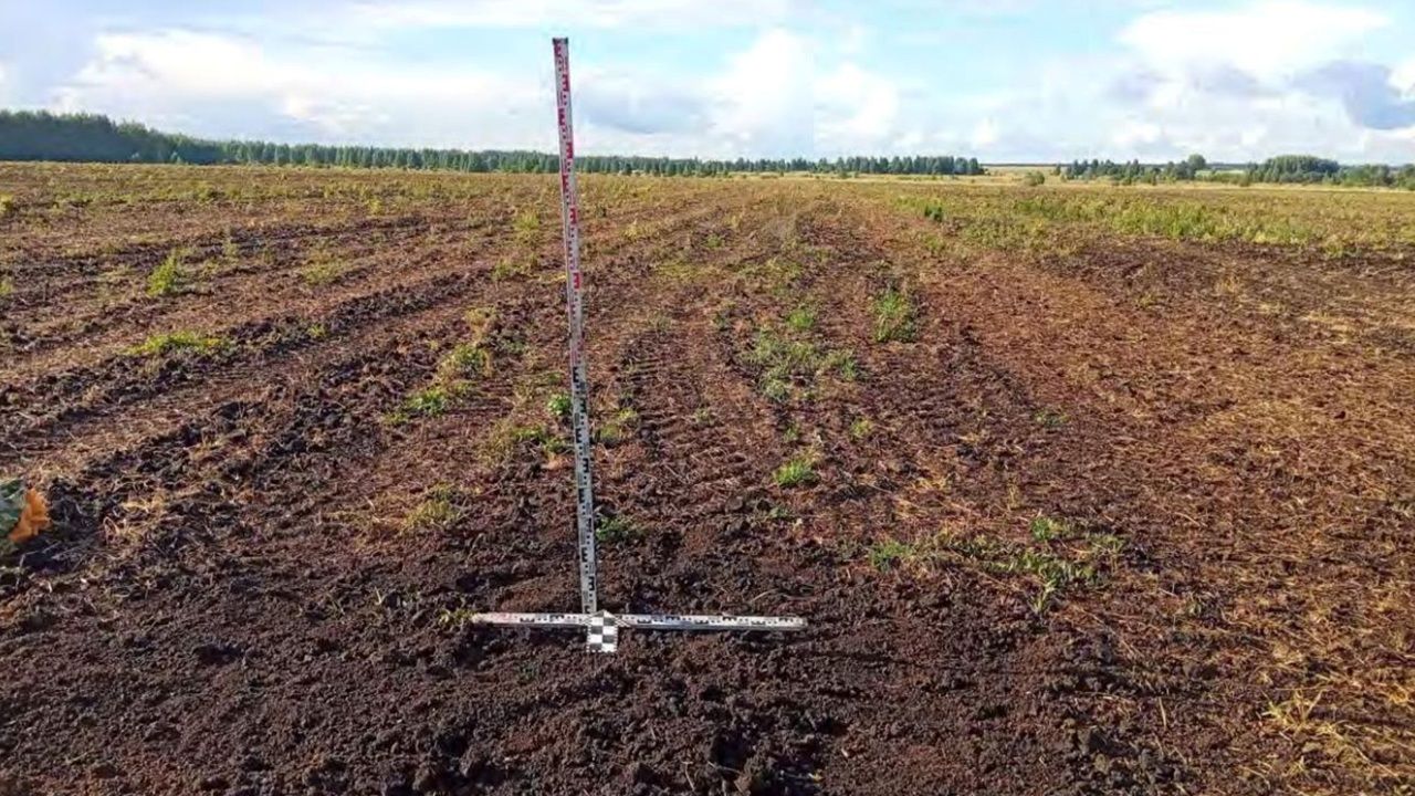 В Мокшанском районе во время раскопок не нашли объектов культурного наследия