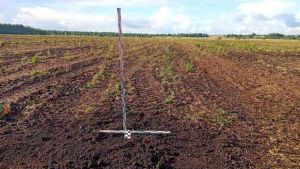 В Мокшанском районе во время раскопок не нашли объектов культурного наследия