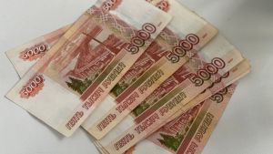 В Пензенской области более 10 тысяч родителей получили новую семейную выплату