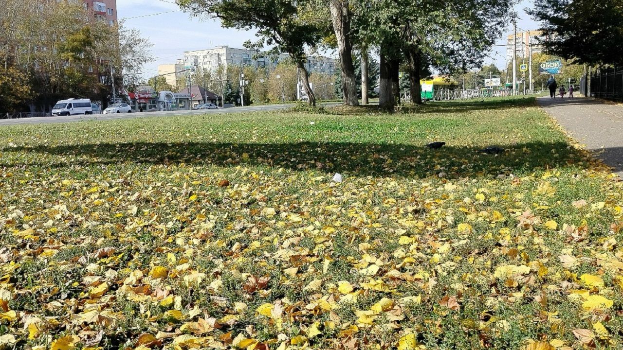 В Пензенской области 16 октября воздух прогреется до 22 градусов