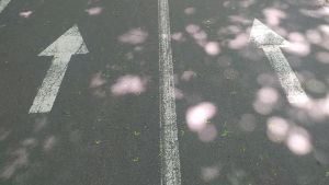 Суд обязал администрацию в Пензенской области оборудовать дорогу знаками