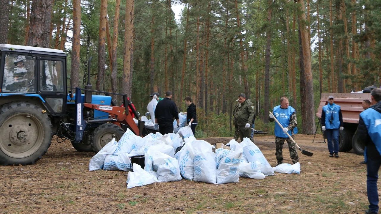 Возле Золотаревки очистили от мусора более 10 км берега Сурского водохранилища