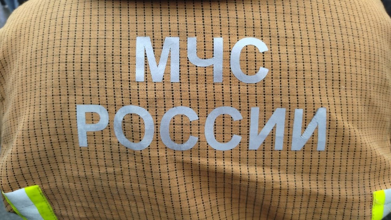 За минувшие сутки в Пензенской области произошло 5 случаев возгорания травы
