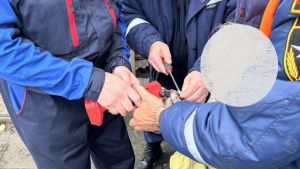 В Пензе женщина травмировала руку при работе с садовым инструментом